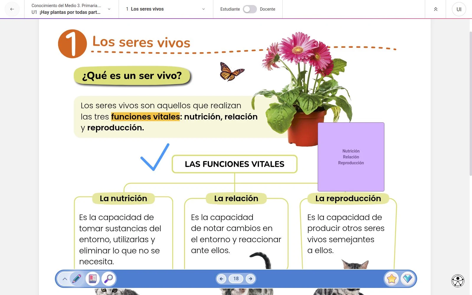Animated OLA demonstration: single-page view, text highlights, note creation and freehand drawing